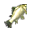 Crucian Grande