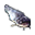 Peixe-Gato