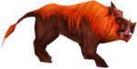 Javali Laranja