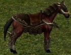 Cavalomilitarpreto.jpg