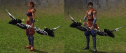 Arco Corvo Negrow.jpg