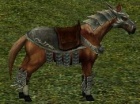 Cavalomilitarcastanho.jpg