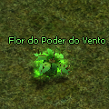 Flor do Poder do Vento