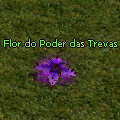 Flor do Poder das Trevas