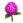 Crisântemo.png