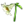 Lírio.png