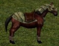 Cavaloarmadopreto.jpg