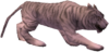 Tigre Branco Feroz.png