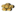Yang.png