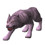 Tigre Púrpura