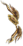 Arco Dragão Amarelo.png