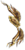 Arco Dragão Amarelo.png
