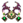 Faixa Shen (Fina).png