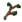 Ramo de Zelkova.png