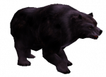 Urso Roxo