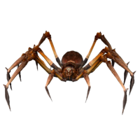 Aranha Venenosa Alfa
