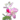 Rosa Alpina.png