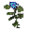 Erva Azul.png