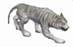 Tigre Branco