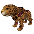 Leopardo Bebé IG.png