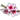 Flor de Pêssego.png