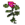 Erva Rosa.png
