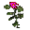 Erva Rosa.png