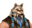 Icone Lycan M2.png