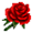 Rosa.png