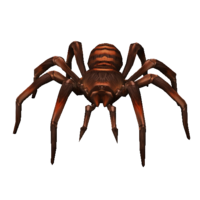 Aranha