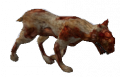 Cão Infestado.png