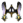 Faixa Chou (Básica).png