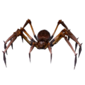 Aranha Mortal.png