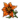 Flor Laranja.png