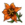 Flor Laranja.png