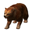 Urso Castanho.png