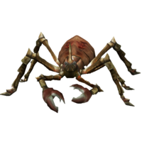 Aranha de Garra Alfa